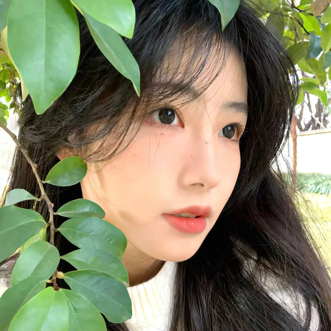 真情杀机